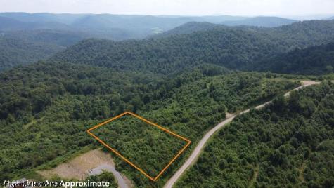 31 Burch Hill Road Terra Alta WV 26764