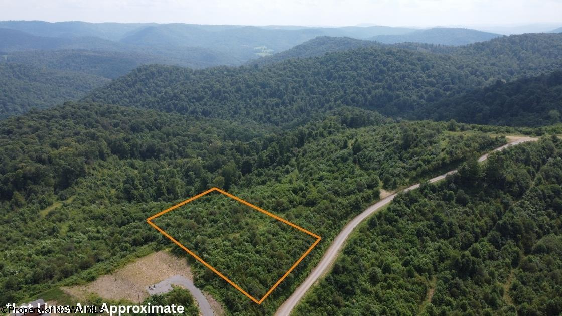 31 Burch Hill Road Terra Alta WV 26764