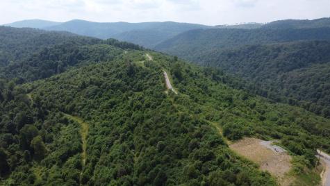 31 Burch Hill Road Terra Alta WV 26764