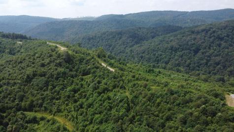 31 Burch Hill Road Terra Alta WV 26764