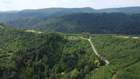 31 Burch Hill Road Terra Alta WV 26764