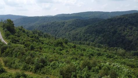 31 Burch Hill Road Terra Alta WV 26764