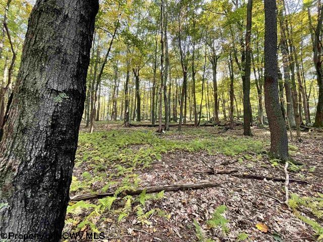 40 E. Alpine Drive Terra Alta WV 26764