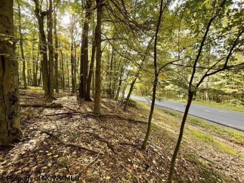 40 E. Alpine Drive Terra Alta WV 26764