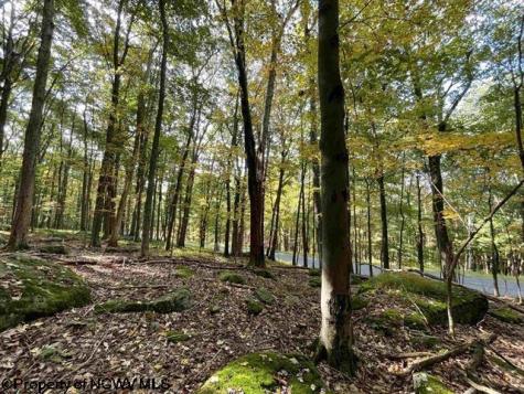 40 E. Alpine Drive Terra Alta WV 26764