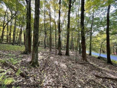 40 E. Alpine Drive Terra Alta WV 26764