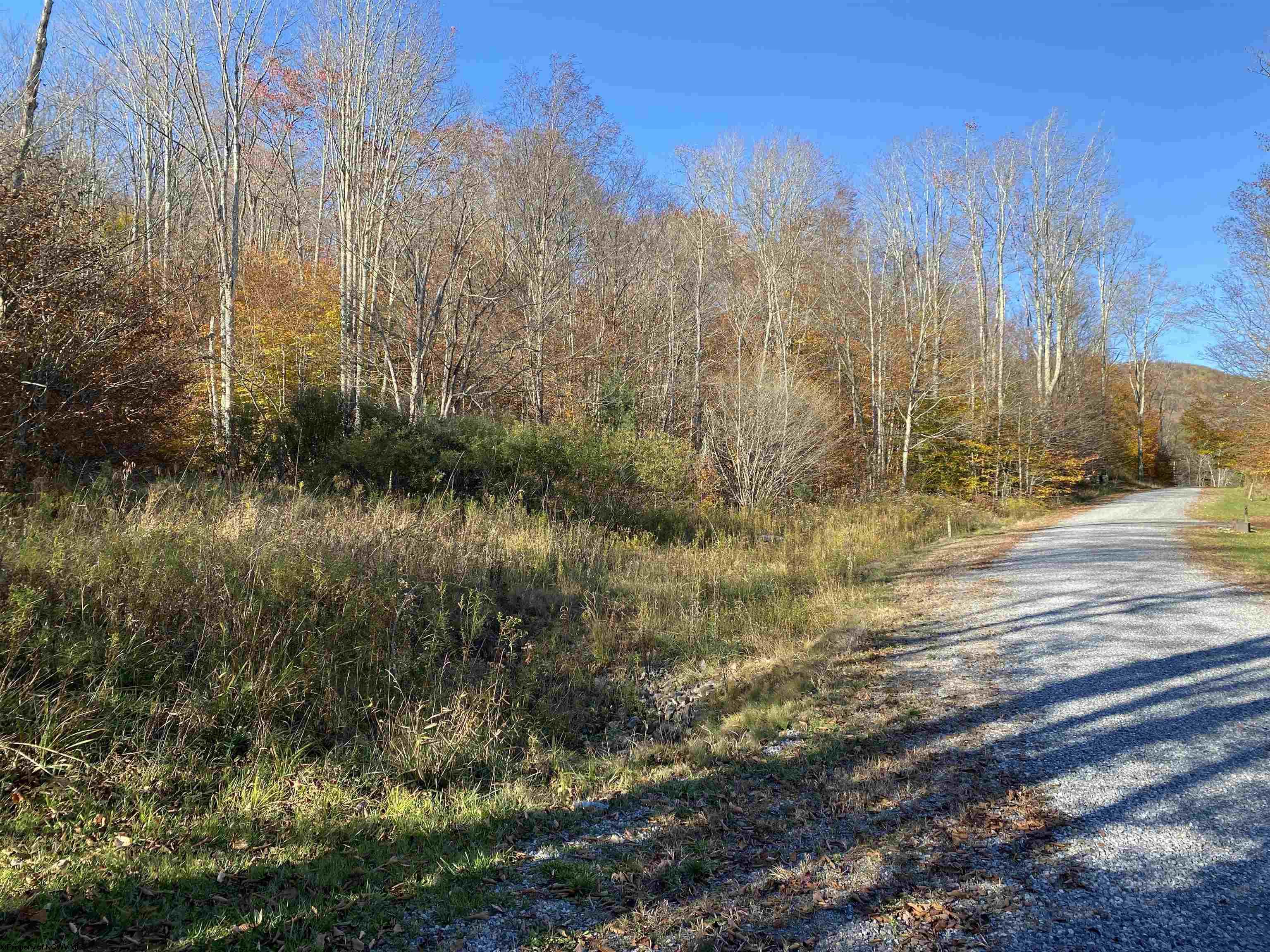 3 Northlake Development Drive Davis WV 26260