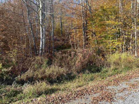 3 Northlake Development Drive Davis WV 26260