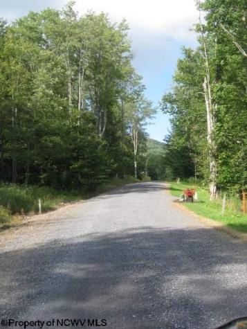 3 Northlake Development Drive Davis WV 26260