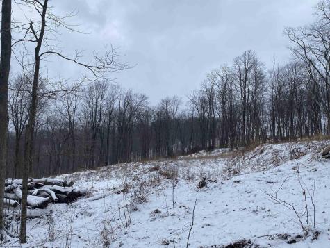 0 Stemple Ridge Road Aurora WV 26705