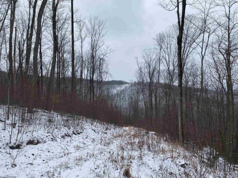 0 Stemple Ridge Road Aurora WV 26705