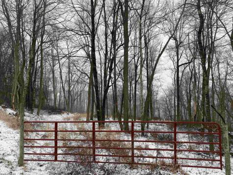 TBD Stemple Ridge Road Aurora WV 26705