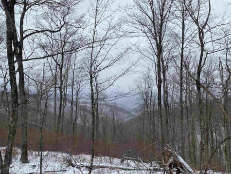 0 Stemple Ridge Road Aurora WV 26705