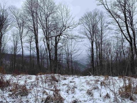 0 Stemple Ridge Road Aurora WV 26705