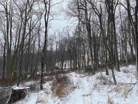 0 Stemple Ridge Road Aurora WV 26705