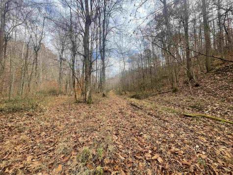 TBD Sand Fork Road Walkersville WV 26447