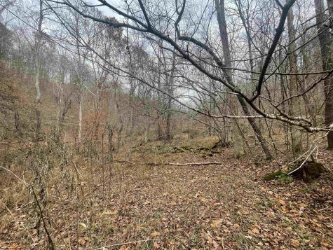 0 Sand Fork Road Walkersville WV 26447