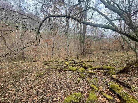 0 Sand Fork Road Walkersville WV 26447