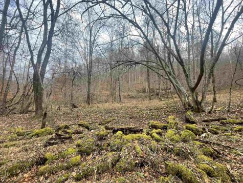 0 Sand Fork Road Walkersville WV 26447