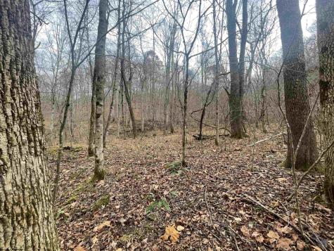 0 Sand Fork Road Walkersville WV 26447
