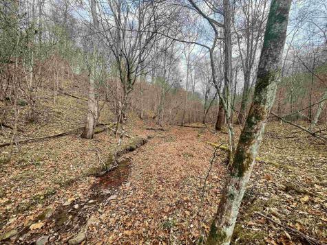 0 Sand Fork Road Walkersville WV 26447