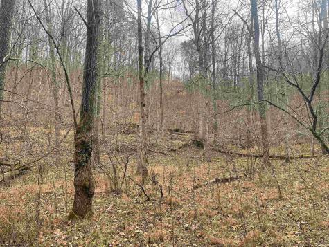0 Sand Fork Road Walkersville WV 26447