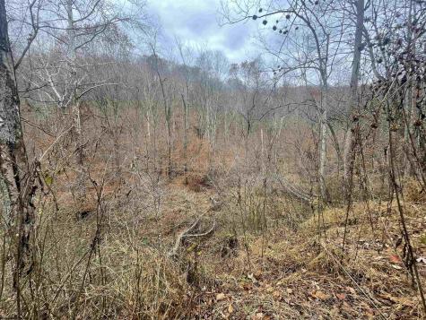 0 Sand Fork Road Walkersville WV 26447