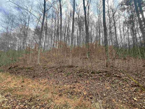 0 Sand Fork Road Walkersville WV 26447