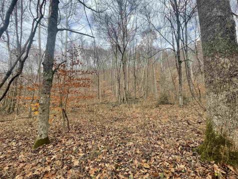 TBD Sand Fork Road Walkersville WV 26447