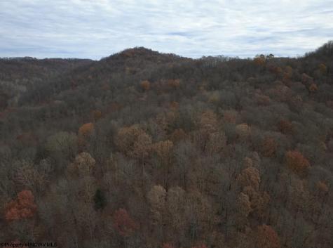 0 Sand Fork Road Walkersville WV 26447