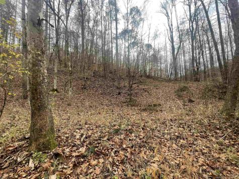 0 Sand Fork Road Walkersville WV 26447