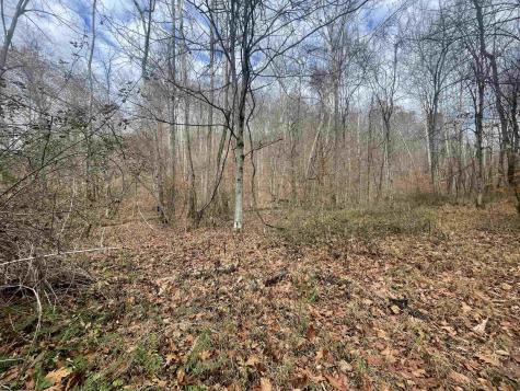 0 Sand Fork Road Walkersville WV 26447