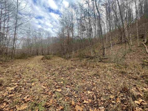 0 Sand Fork Road Walkersville WV 26447