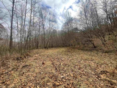 0 Sand Fork Road Walkersville WV 26447