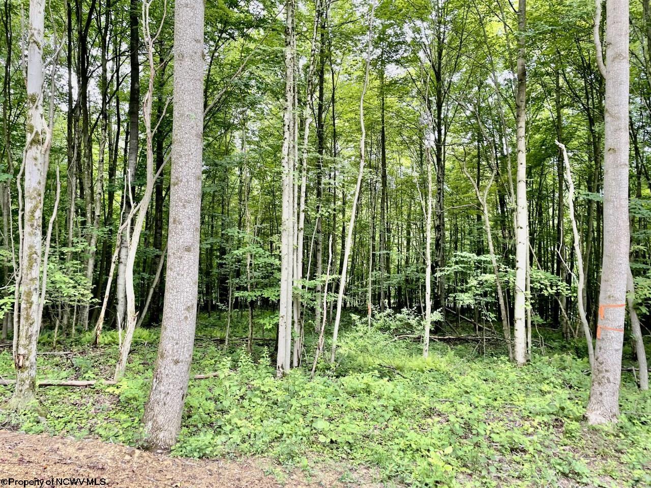 4 Holleran Heights Kingwood WV 26519