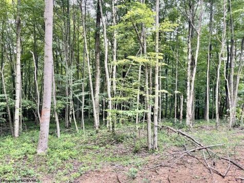 4 Holleran Heights Kingwood WV 26519