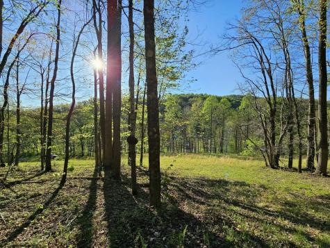 3 Isner Run Elkins WV 26241