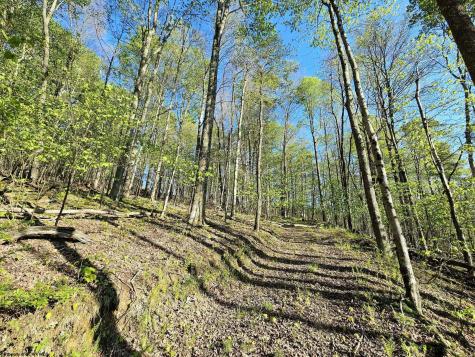 3 Isner Run Elkins WV 26241