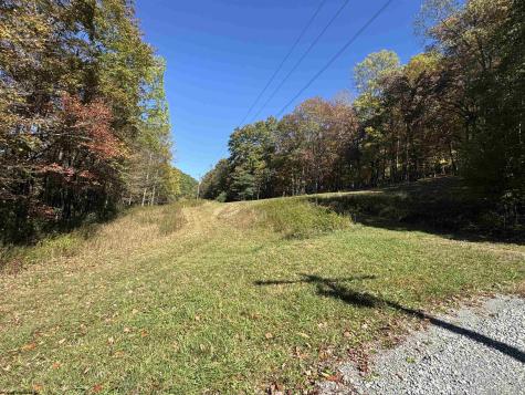 3 Isner Run Elkins WV 26241