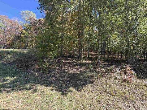 3 Isner Run Elkins WV 26241