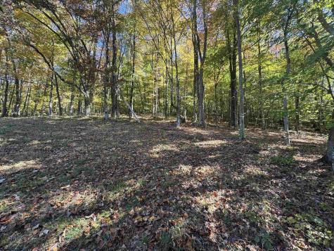 3 Isner Run Elkins WV 26241