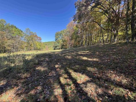3 Isner Run Elkins WV 26241