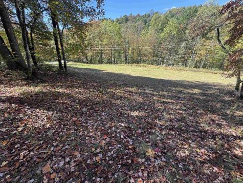 3 Isner Run Elkins WV 26241