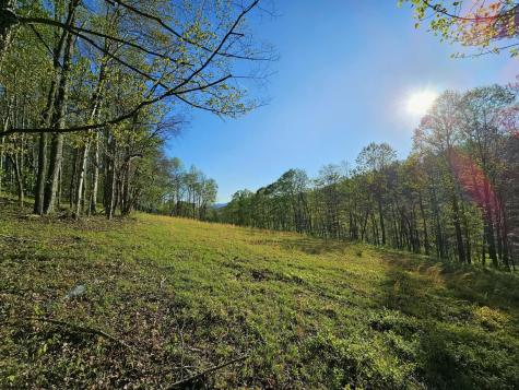 3 Isner Run Elkins WV 26241