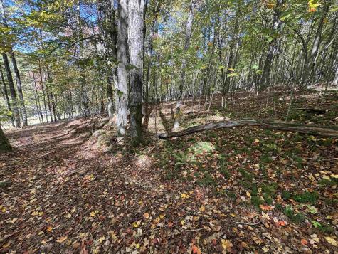 3 Isner Run Elkins WV 26241