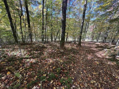 3 Isner Run Elkins WV 26241