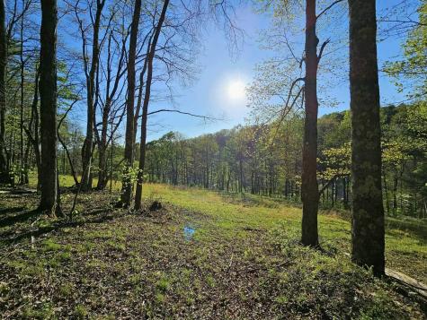 3 Isner Run Elkins WV 26241