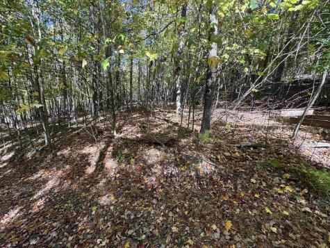 3 Isner Run Elkins WV 26241