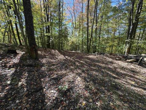 3 Isner Run Elkins WV 26241