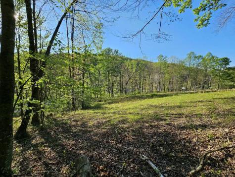 3 Isner Run Elkins WV 26241